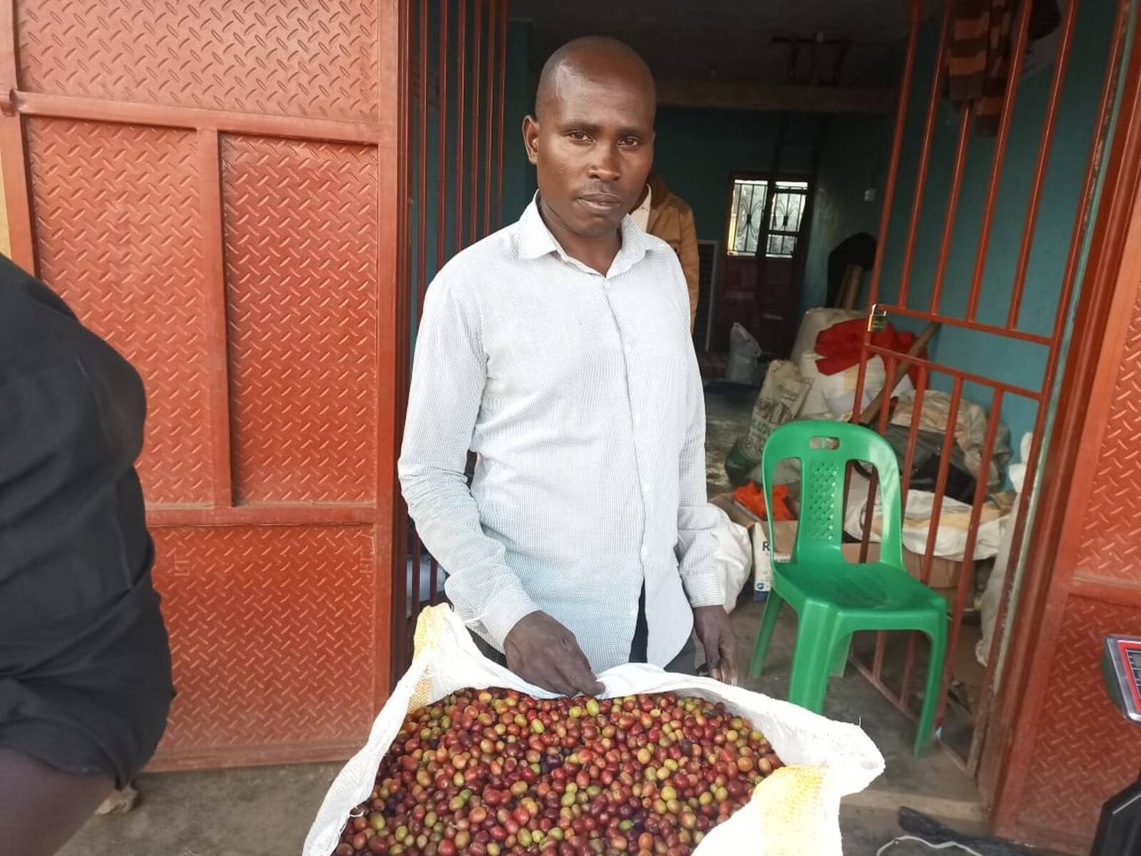 Coffee processing