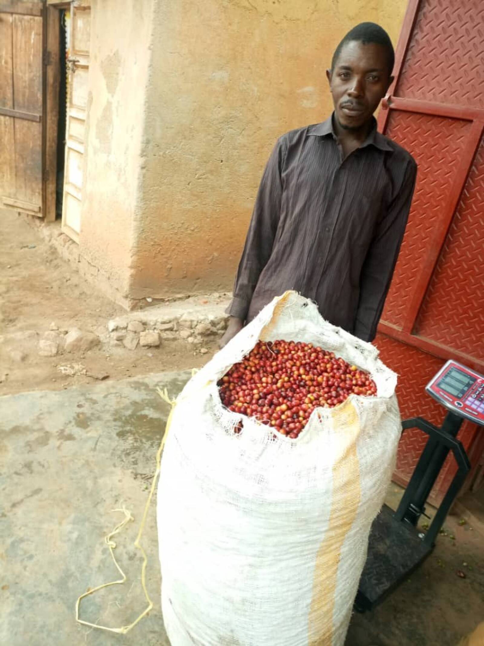 Coffee processing