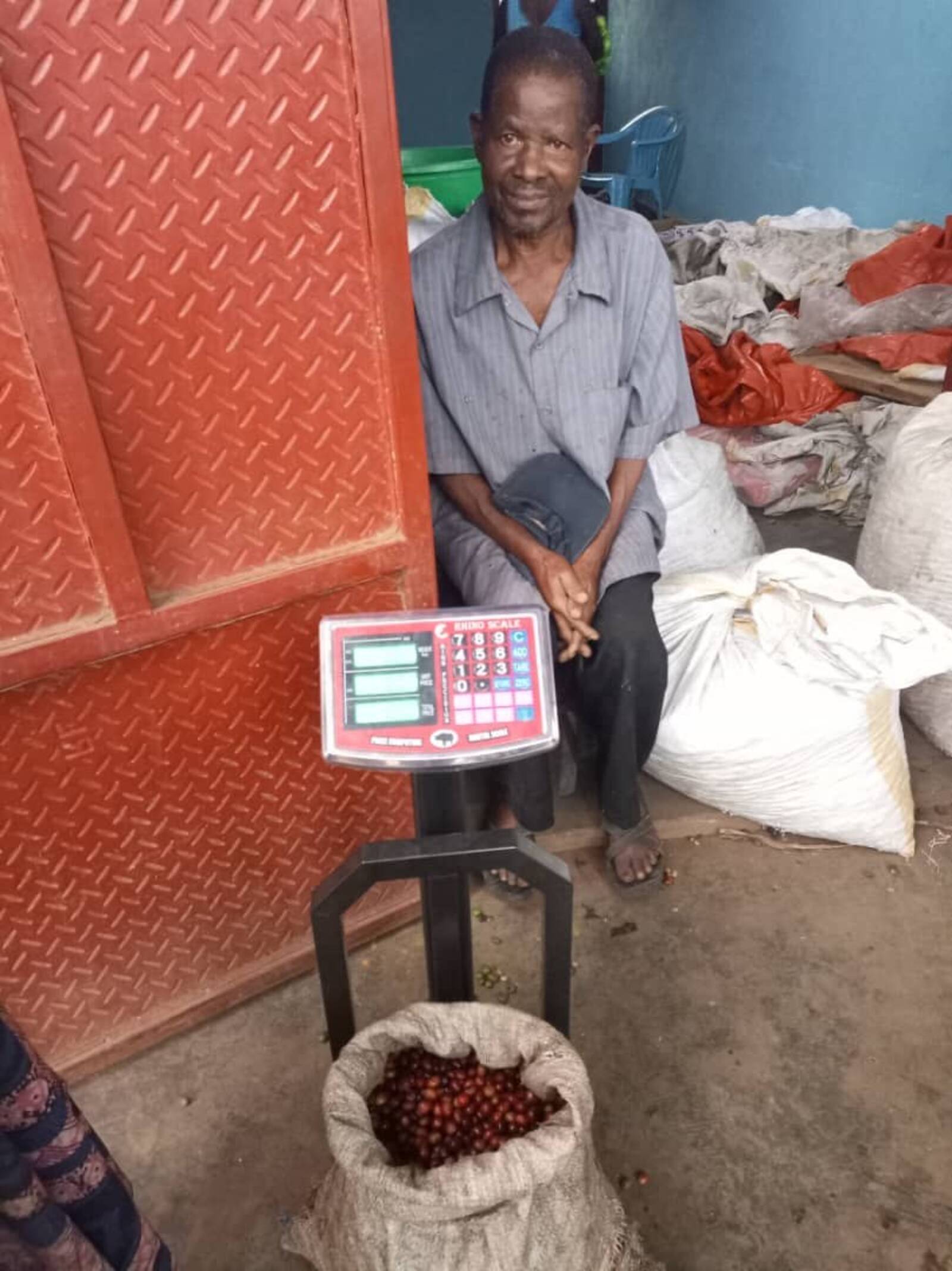 Farmer weighing coffee