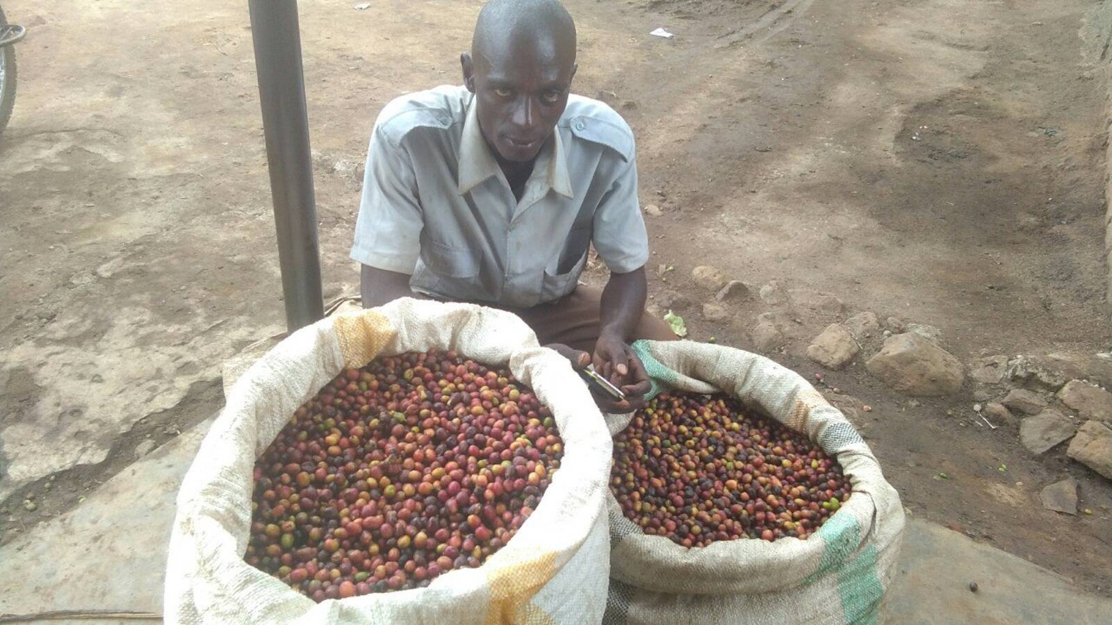 Farmer with coffee