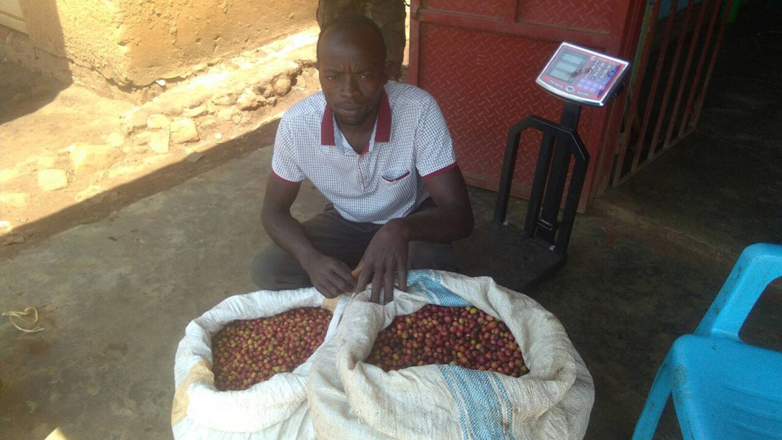 Coffee farmer with sacks of cherries