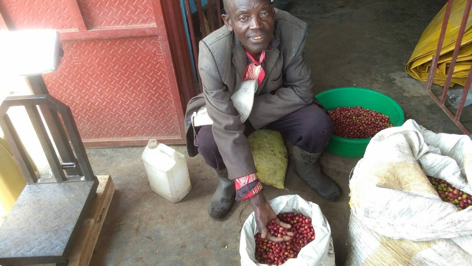 Coffee processing