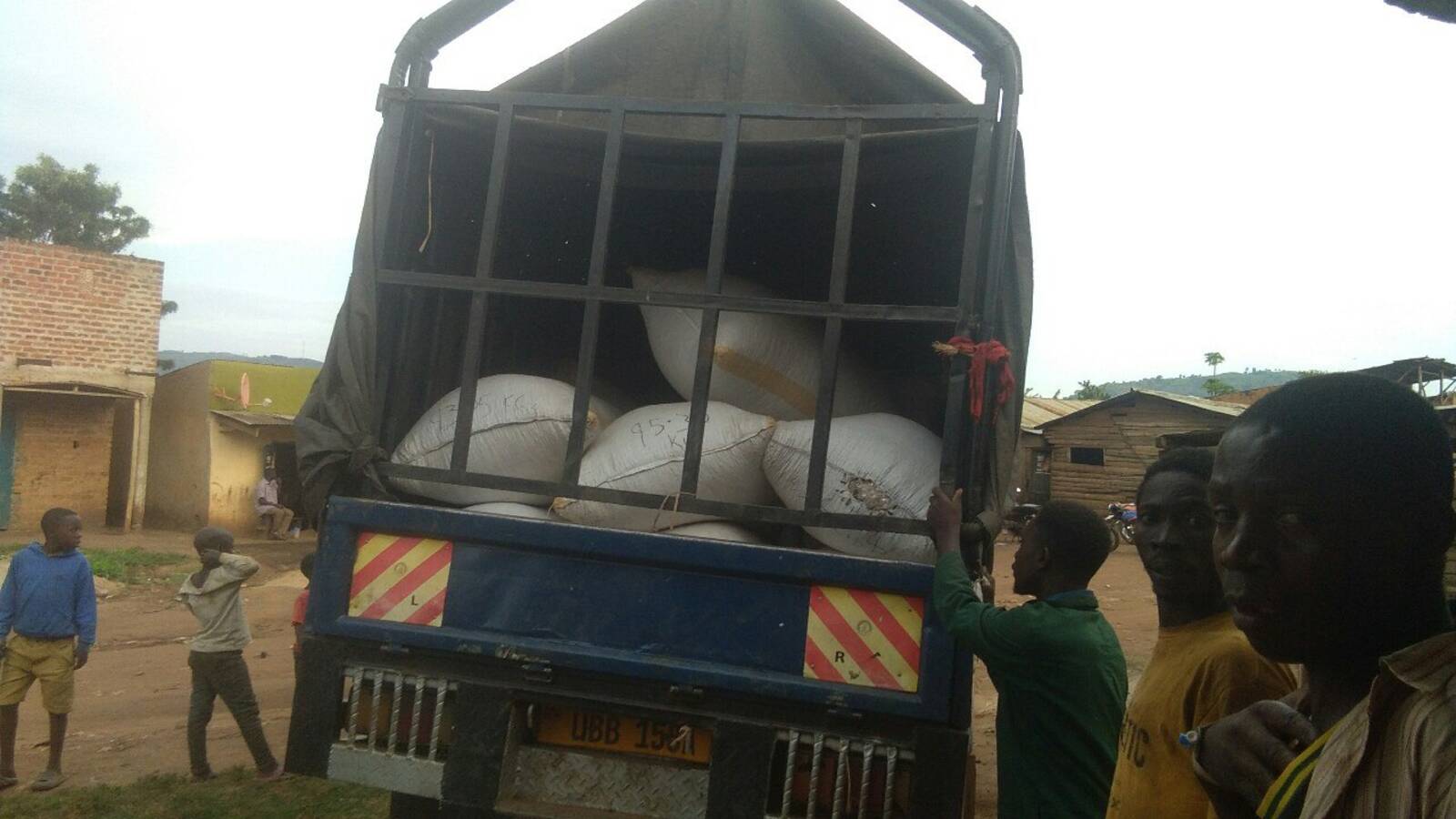 Coffee logistics