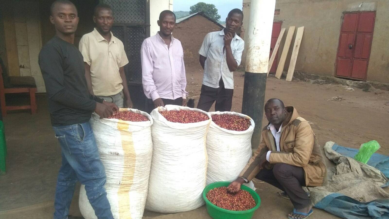Farmers with coffee cherries
